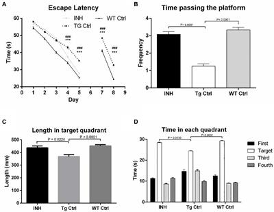 Isoniazid improves cognitive performance, clears Aβ plaques, and protects dendritic synapses in APP/PS1 transgenic mice